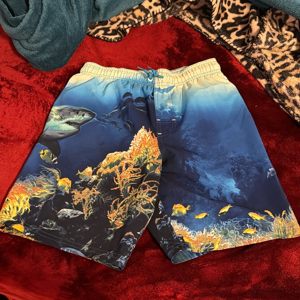Boys Swim Shorts